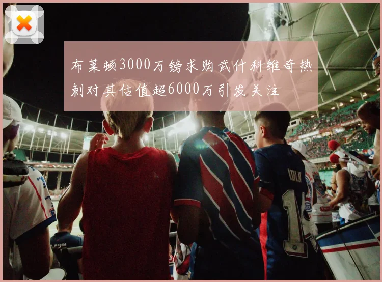 布莱顿3000万镑求购武什科维奇热刺对其估值超6000万引发关注
