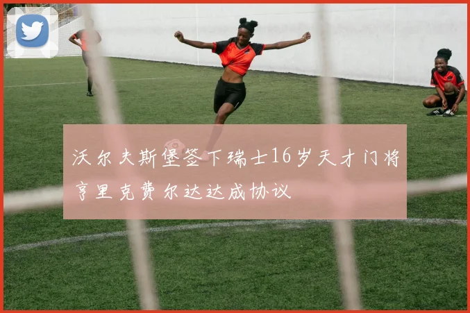 沃尔夫斯堡签下瑞士16岁天才门将亨里克费尔达达成协议