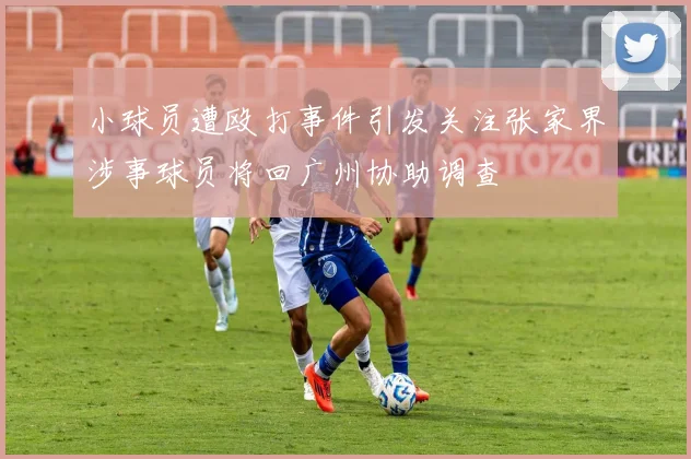 小球员遭殴打事件引发关注张家界涉事球员将回广州协助调查